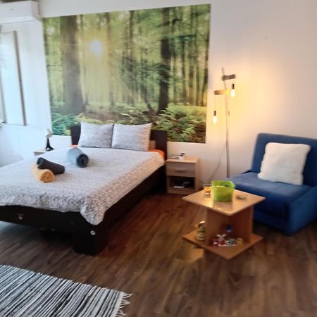 Car Lazar Apartment بلغراد المظهر الخارجي الصورة