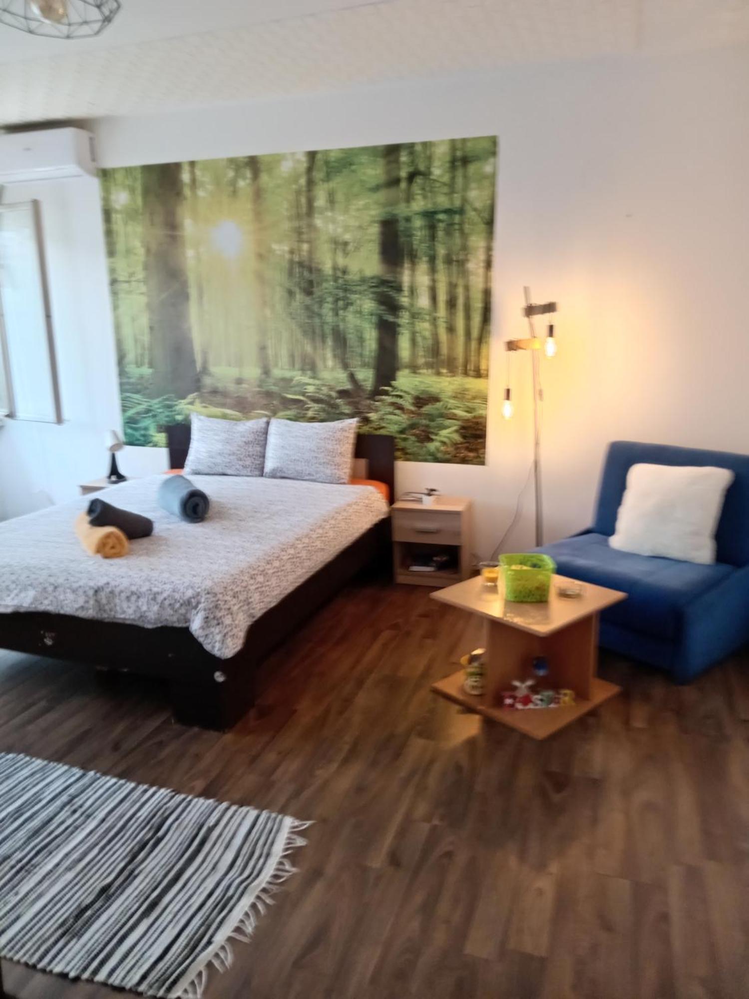 Car Lazar Apartment بلغراد المظهر الخارجي الصورة